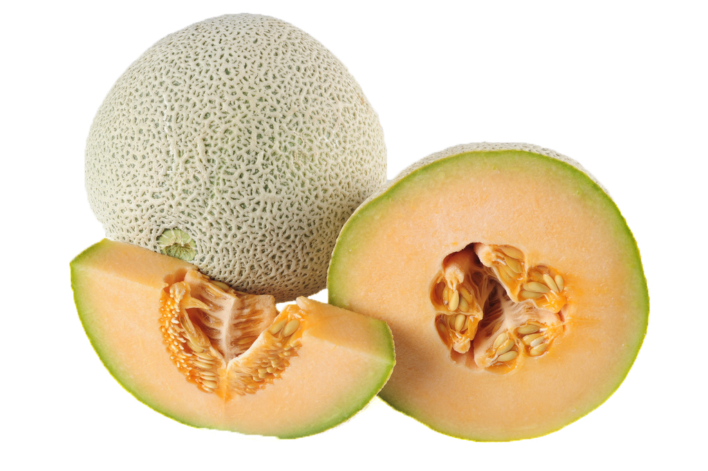Cantaloupe