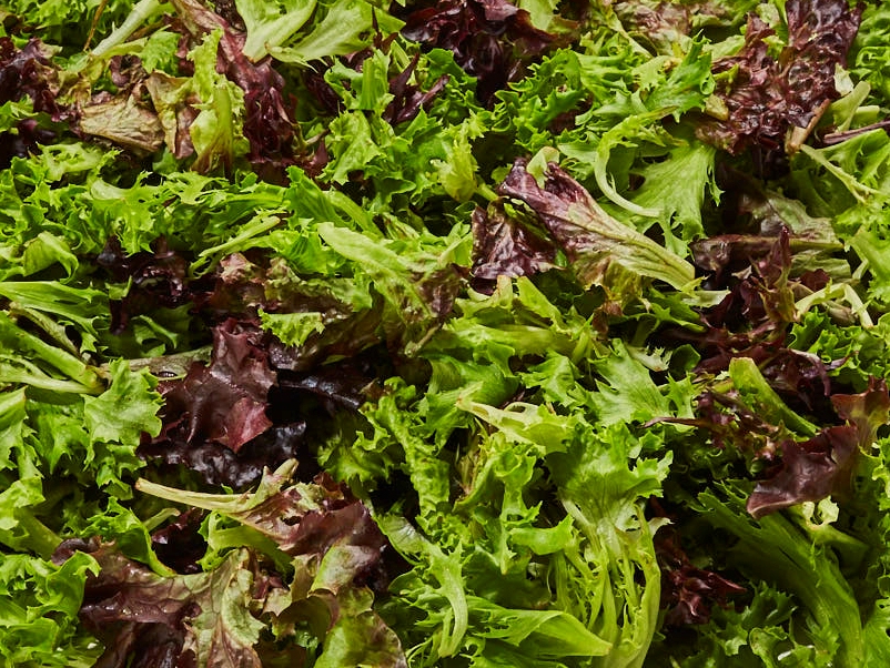 Arcadian Blend Mesclun