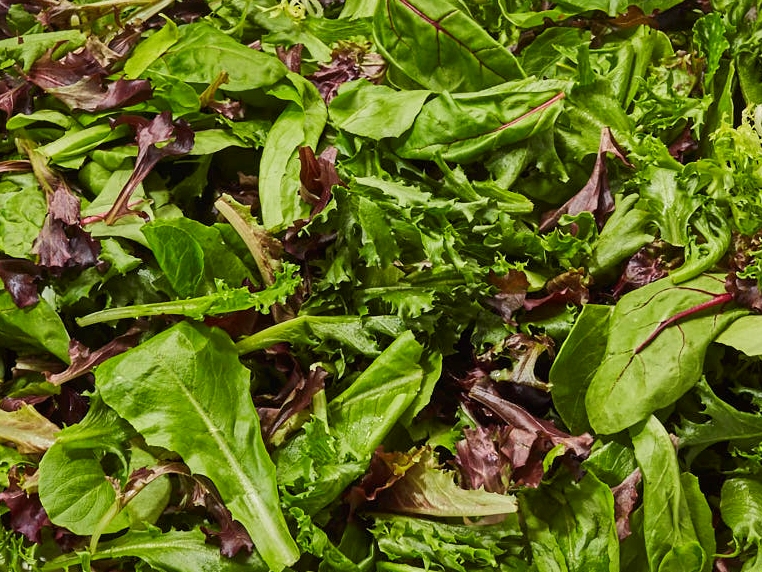 Spring Mix Mesclun