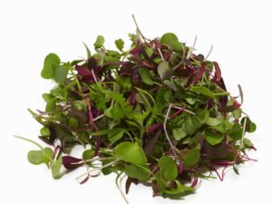 Intensity Microgreen Mix