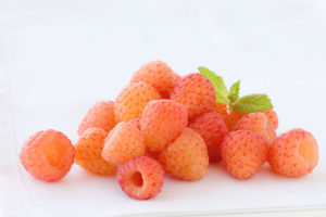 Sunshine Raspberry