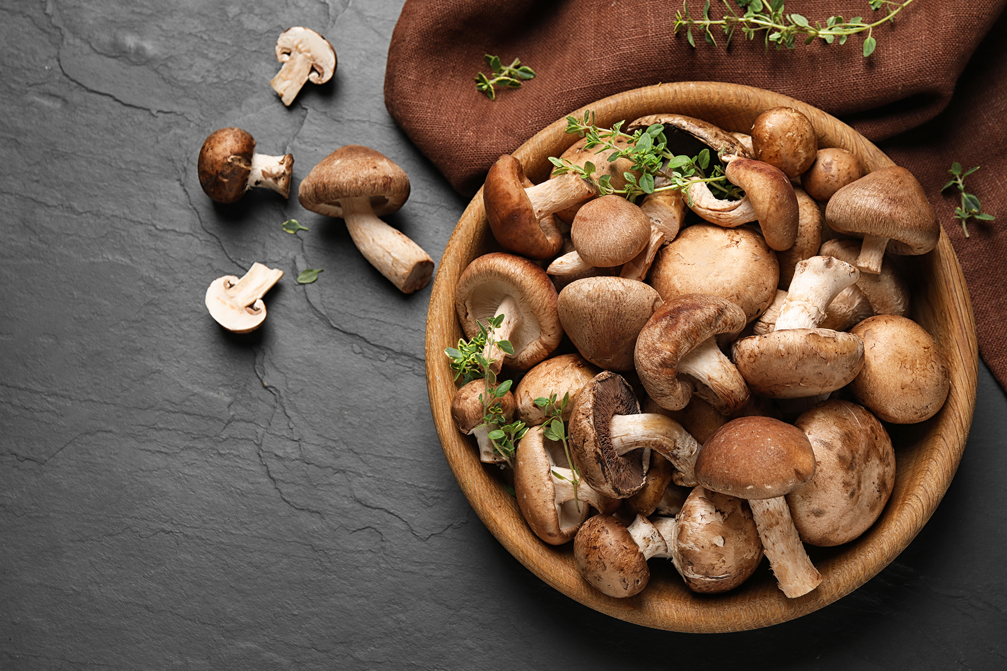 BIXShiitake-Mushroom-SH-style - BIX